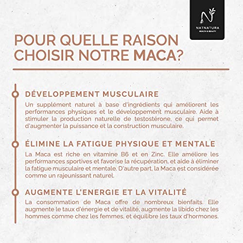 Maca. Máxima concentración de maca negra (25:1) aumenta tu energía y vitalidad. Potenciador muscular, reduce la fatiga y aumenta los niveles de testosterona. 90 cápsulas