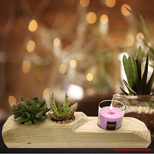 Maceteros Decorativos Interior, Porta Velas Decorativas, Macetas con Portavelas Decoración Interior de Ladrillo de Madera para Cactus Suculentas y Velas (1x Regalo Vela Aromática Fragancia Aleatorio)