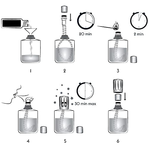 MAISON BERGER Lámpara Berger – Recarga de perfume para lámpara Berger – 1 litro – Perfume Sol de Ambre París