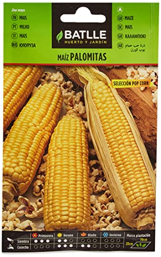 Maiz palomitas POP CORN