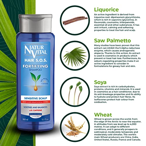 NaturVital Champú Anticaída | Para Cuero Cabelludo Sensible | Con Cafeína Y Saw Palmetto, Azul, Fresca, 300 Mililitro