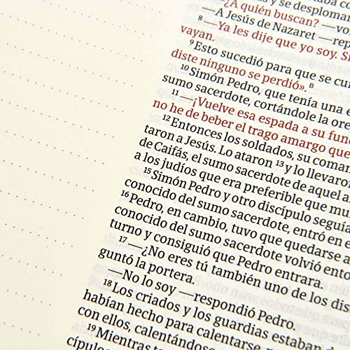 NVI Biblia de Apuntes blanco y azul símil piel: Nueva version internacional, blanco y azul símil piel / White and Blue LeatherTouch