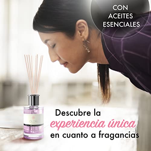 Olori Ambientador de hogar Mikado - Difusor de Varillas  - Lavanda, 100ml - Natural, de Larga duración 2-3 Meses, con aceites Esenciales