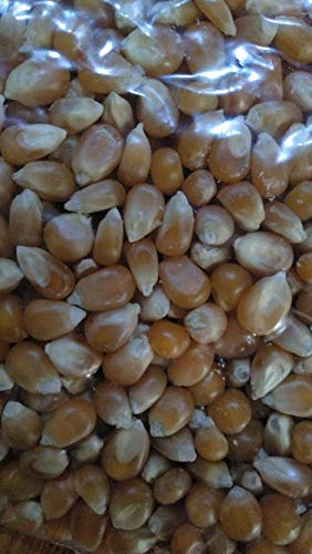 Palomitas de Maíz , Maíz Rosetero 43/45 USA , Semilla Extra 900 grs