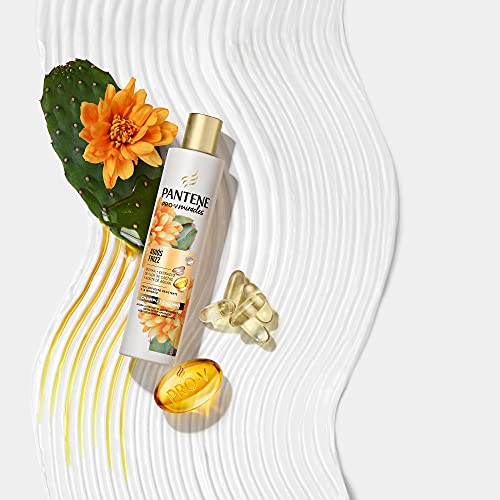 Pantene Pro-V Miracles Adiós Frizz Champú | Con Biotina, Extracto De Cactus Y Aceite De Argán | Para Pelo Encrespado, 6 x 225ml