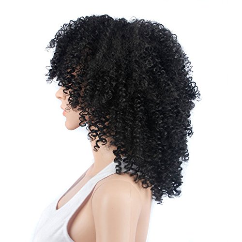 Pelucas de pelo rizado para mujer negra, pelo natural para mujeres negras, peluca rizada, pelucas de pelo humano Kinkys rizadas, 43,18 cm (WL9208)