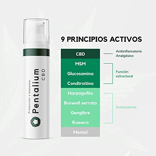 Pentalium CBD - Cannabidiol Crema Antiinflamatoria Para el Alivio de Dolores Musculares y Articulaciones - Pomada Antiinflamatoria con Glucosamina, Condroitina y MSM (75g)