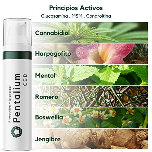 Pentalium CBD - Cannabidiol Crema Antiinflamatoria Para el Alivio de Dolores Musculares y Articulaciones - Pomada Antiinflamatoria con Glucosamina, Condroitina y MSM (75g)