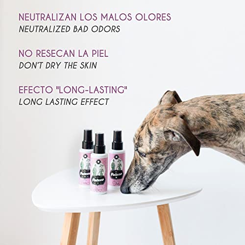 Petuxe Perfume vegano para perros de origen natural. Colonia en spray para mascotas. Corrector de olor para mascotas. Cachorros y adultos. Efecto duradero (Bimba)