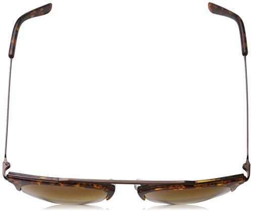 Pilgrim Sunglasses: Lotus_PI Plated Gafas de Sol, Marrón (Brown), 49 para Mujer