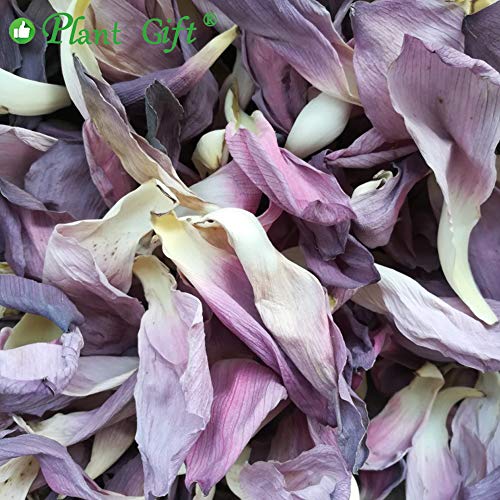 Plant Gift Original Chinese Lotus Flower ( Flor de loto ) Dried Lotus Petals, Pétalos de loto seco, Leaf tea Chinese slimming tea, herbal tea, decrease to lose weight 30g/1.05oz