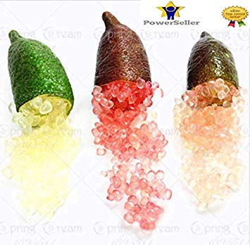 Potseed 1: 50Pcs Hielo Semillas Finger Lime Citrus Caviar de Fruta Tropical del árbol del jardín Semente