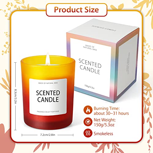 Scent-Hi Vela Perfumada, Rosa, Cera de Soja Natural, Caja Regalo Para Baño, Casa, Decoración del Hogar, Vela de Lujo Regalo para Mujer