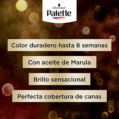 Schwarzkopf Palette Intensive Creme Color - Tono 1.1 cabello Negro Azulado - Coloración Permanente de Cuidado con Aceite de Marula – Óptima cobertura de canas – Color duradero hasta 8 semanas