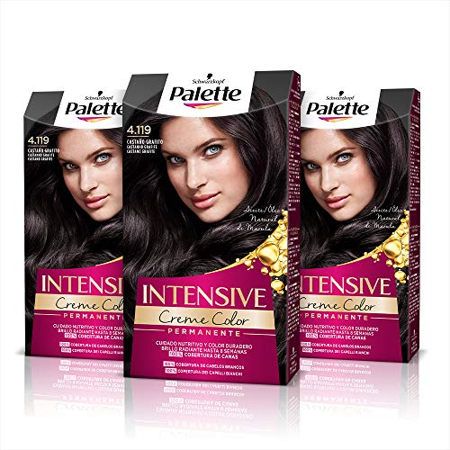 Schwarzkopf Palette Intensive - Tinte 4.119 Castaño Grafito – Perfecta cobertura de canas – Coloración Permanente de Cuidado con Aceite de Marula - Color duradero hasta 8 semanas (Pack de 3)