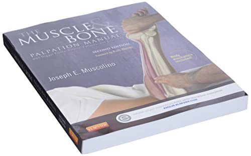 The Muscle and Bone Palpation Manual with Trigger Points, Referral Patterns and Stretching, 2e