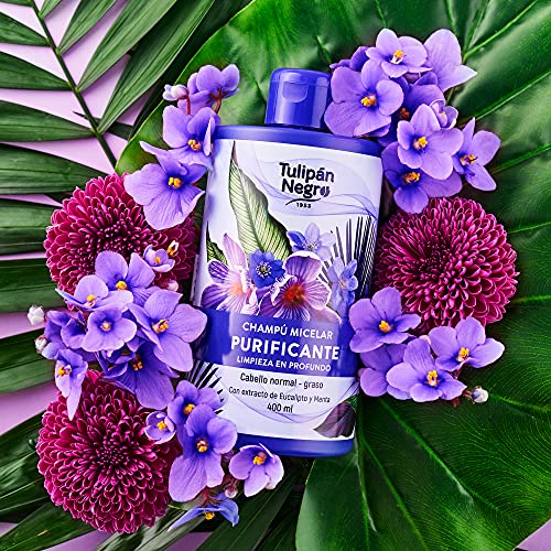 Tulipán Negro (TULRL) Champú Micelar Purificante 400 ml, Morado