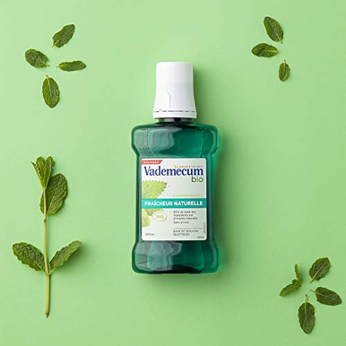 Vademecum baño de boca Bio Menta Natural Fraîcheur 250 ml