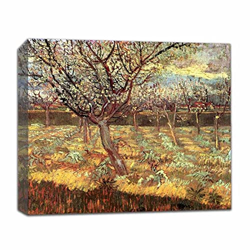 Van Gogh《Albaricoqueros en Flor》Cuadro en Lienzo | Lienzos Decorativos | Cuadros Decoración Dormitorios Salón | Cuadros y láminas | Listos para Colgar(65x81cm-(25.6x31.9in),Enmarcado)