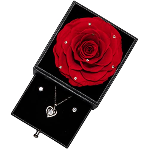 Yamonic Rosa Eterna con Juego de Joyas Brillantes, Regalo Cumpleaños Mujer, Rosa Eterna Natural Preservada, Te Amo para Siempre en Español, Regalo de San Valentín para Ella,Rosa Real