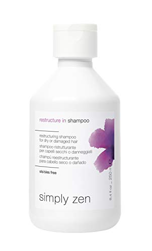 Z. One Concept Simply Zen - Champú reestructurante, 250 ml