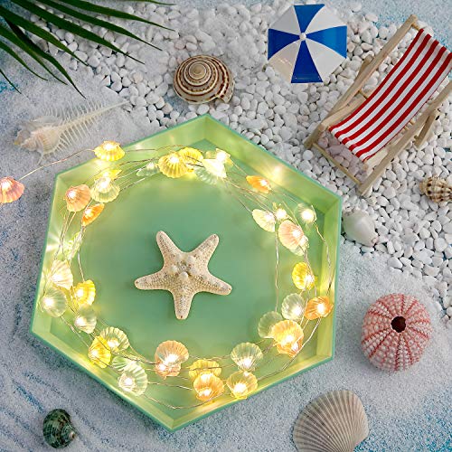 10 Pies Guirnalda de Luces 40 LEDs Temática de Playa Verano Estilo Mexicano/Mediterráneo Alimentada por Batería con 12 Modos Contro Remoto y Temporizador para Niñas Niños (Concha de Colores)