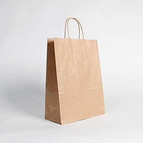 (250 uds.) Bolsas de Papel kraft BIODEGRADABLES con ASA RIZADA, para comercios, RECICLABLES, REUTILIZABLES Y SOSTENIBLES, bolsas marrones resistentes (240+110x320)