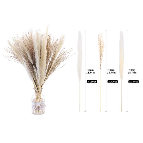 50 Pampas Secas Naturales Blancas De 40 Cm, Decoración Para El Hogar, Flores Secas Naturales De Fragmitas Para Jarrones, Ramo De Flores Blancas Fragmitas Para Decoración De Bodas Y Fiestas