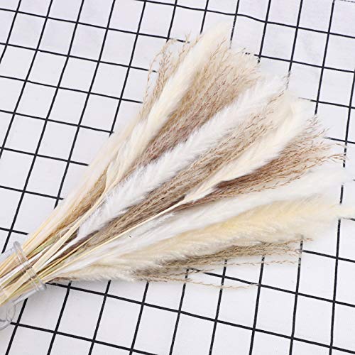 50 Pampas Secas Naturales Blancas De 40 Cm, Decoración Para El Hogar, Flores Secas Naturales De Fragmitas Para Jarrones, Ramo De Flores Blancas Fragmitas Para Decoración De Bodas Y Fiestas