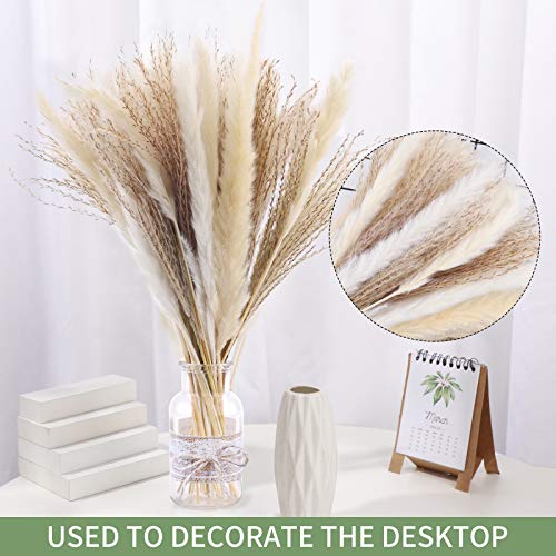 50 Pampas Secas Naturales Blancas De 40 Cm, Decoración Para El Hogar, Flores Secas Naturales De Fragmitas Para Jarrones, Ramo De Flores Blancas Fragmitas Para Decoración De Bodas Y Fiestas