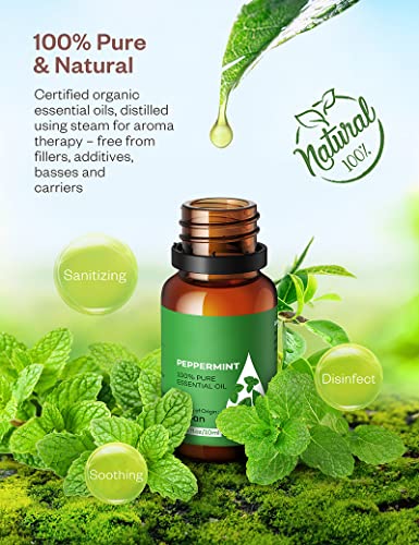 Aceites Esenciales 6 * 10ml ( Lavanda, Hierba de Limón, Menta, Árbol de té, etc. ). Aceite aromático 100% puro natural para Difusor, Humidificador, Masaje, Cuidado de la Piel y del Cabello