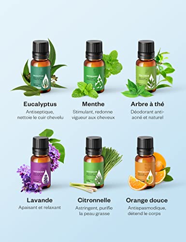 Aceites Esenciales 6 * 10ml ( Lavanda, Hierba de Limón, Menta, Árbol de té, etc. ). Aceite aromático 100% puro natural para Difusor, Humidificador, Masaje, Cuidado de la Piel y del Cabello