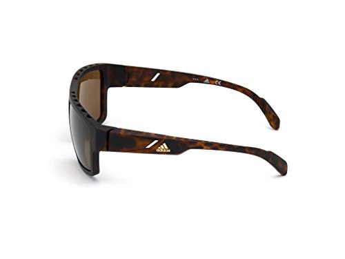 adidas SP0008 Gafas, Dark Havana/Brown Polarized, 61 para Hombre