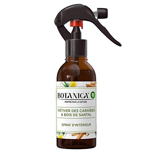 Air Wick Botanica Désodorisant Maison Spray d'Intérieur Vétiver/Bois de Santal 236 ml