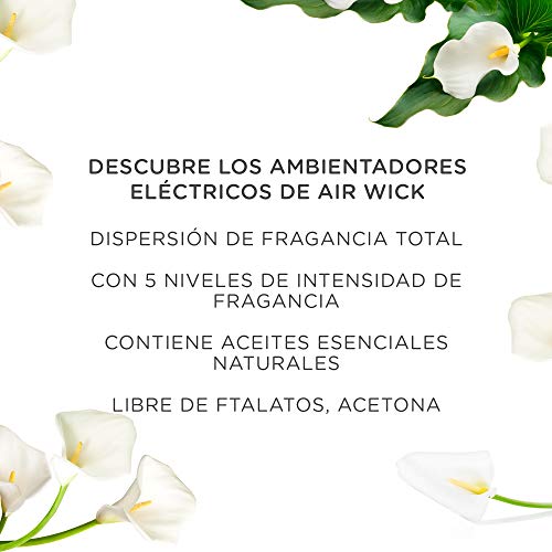 Air Wick Eléctrico - Recambios de ambientador eléctrico, esencia para casa con aroma a White Bouquet - pack de 6