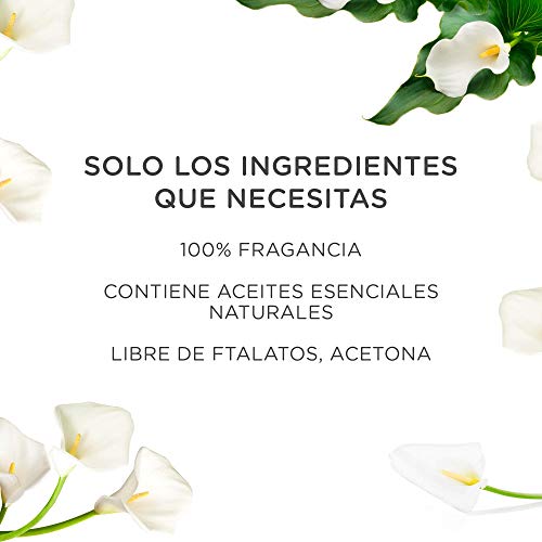 Air Wick Eléctrico - Recambios de ambientador eléctrico, esencia para casa con aroma a White Bouquet - pack de 6