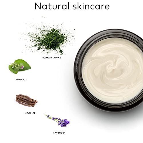 ALKEMY Crema Antiacné e Imperfecciones – Cosmética Natural – Tratamiento Acné Dermatológicamente Testado – Fuerte acción Calmante con efecto Purificante – PURIFYNG FACE CREAM