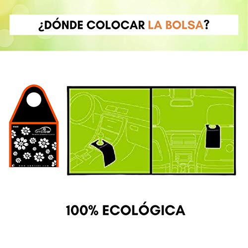 AMBICAR - Ambientador eléctrico para COCHE. Pack Inblack Nº1 (Difusor+Recambio NATURE +Bolsa Ecológica) Esencia Natural, SIN Alcohol ni Químicos. Fragancia fresca y pura + bolsita para guardar cosas