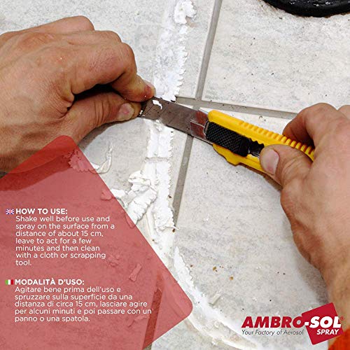 Ambro-Sol P301 Elimina Siliconas, 400 ml