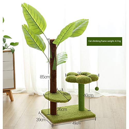 ANANAN Marco De Escalada para Gatos, Marco De Escalada para Gatos De Hoja De Plátano De Selva Tropical, Juguete para Gatos Cubo De Sisal Marco para Rascar Gato Columna De Sisal