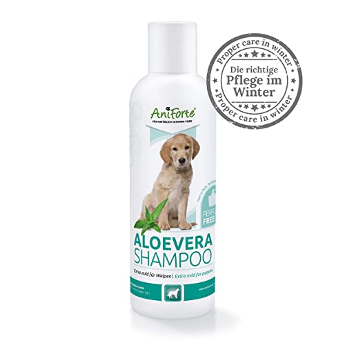 AniForte Champú Aloe Vera para Perros de 200ml - Champú Suave para Perros, sin Perfume, para Cachorros para Perros jóvenes y Perros sensibles, para un Pelo Brillante y fácil de peinar