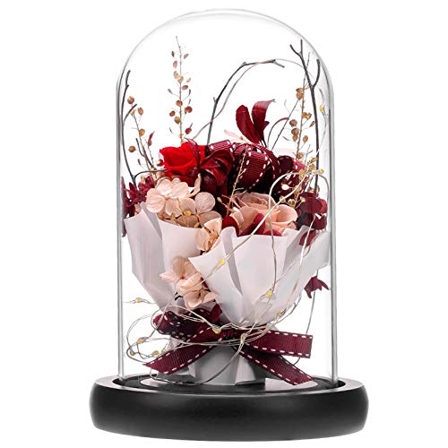 ANLUNOB Flor Fresca preservada con luz LED Rosa Hecha a Mano para Siempre Rose Regalo en cúpula de Vidrio La Bella y la Bestia Regalos para el día de la Madre Día de San Valentín Día de Navidad