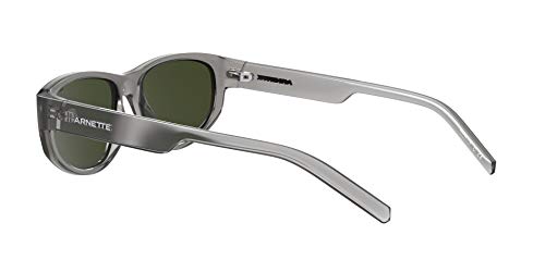 Arnette Gafas de Sol DAEMON AN 4269 POST MALONE Grey/Green 54/17/145 hombre