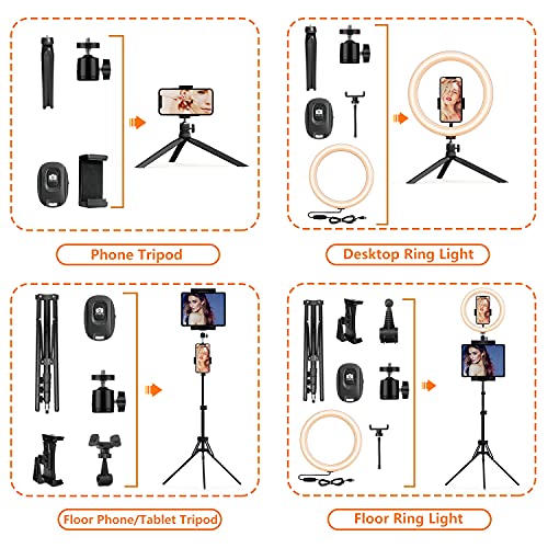 Aro de Luz con Trípode 72", PEYOU [con Soporte para Tablet] 12'' Anillo de Luz con Mini Trípode y 3 Soporte para Teléfono, 3 Modo 10 Brillo & Obturador Bluetooth para Maquillaje/Selfie/Youtube/TikTok