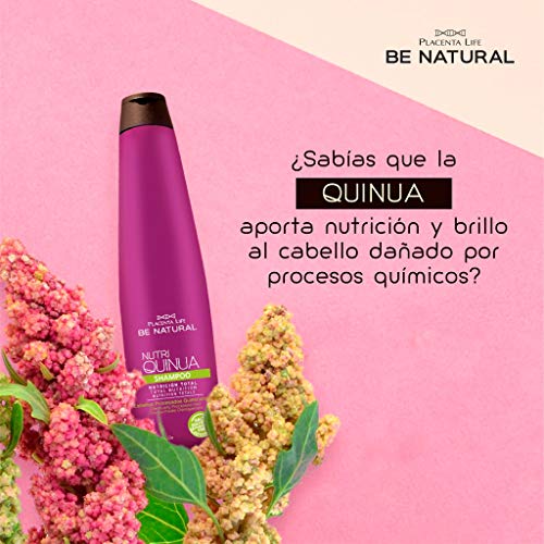 Be Natural Pack Champú, Acondicionador, Mascarilla Y Desenredante Capilar Nutri Quinua, Cabellos Tratados Químicamente O Alisados, color Multicolor, Pack Nutri Quinua