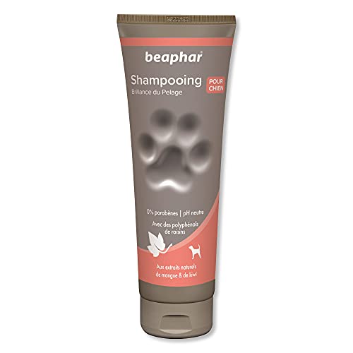 Beaphar Champú Alta Cosmética Perros Pelo Brillante, Un tamaño 250 ml 250 ml