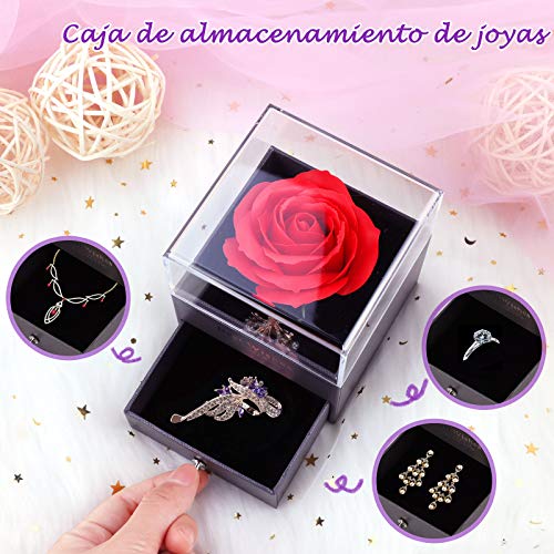 Becoyou Rosa Eterna, Plástico Rosa Regalos Originales para Mujer Regalos Originales Regalo Cumpleaños