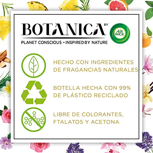 Botanica de Air Wick - Ambientador Pulverizador, Esencia para casa con aroma a Pomelo y Menta Marroquí - Pack de 4