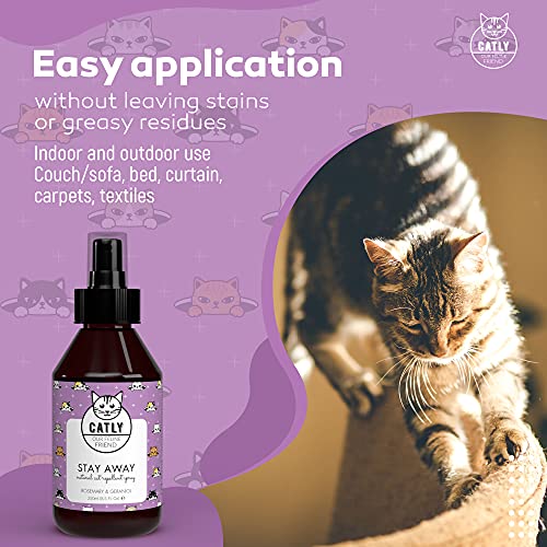 Catly Spray Repelente para Gatos con Aceite Esencial de Menta y Romero - Spray Ahuyentador Gatos Natural, Spray Antiarañazos Gatos - Repelente Gatos Jardin y Hogar para Corregir Malos Hábitos, 250ml