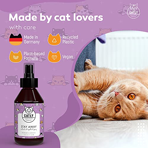 Catly Spray Repelente para Gatos con Aceite Esencial de Menta y Romero - Spray Ahuyentador Gatos Natural, Spray Antiarañazos Gatos - Repelente Gatos Jardin y Hogar para Corregir Malos Hábitos, 250ml